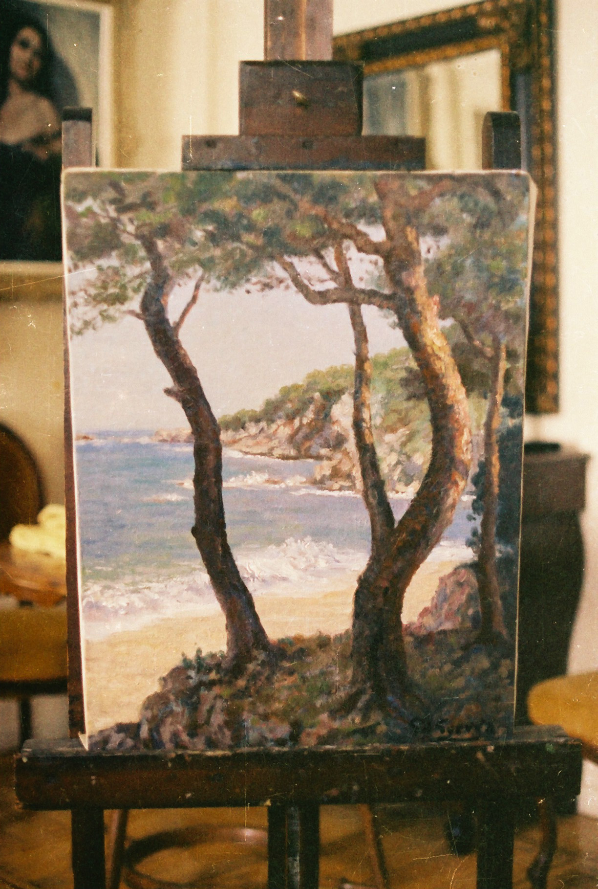 Paisaje costero con árboles, null